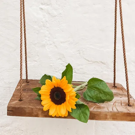 Il Girasole - Nel Centro Storico Di Apartment *